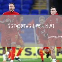 BST银河VS史蒂夫比科