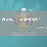明特希尔FCVS斯泰茨维尔FC